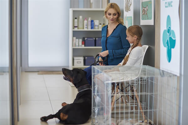 Veterinary clinic waiting area workflow